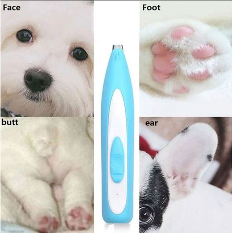 Appareil de toilettage électrique pour chiens et chats, petit format, rechargeable par USB, sans fil, couleur bleue.-AquaForge (1/5)