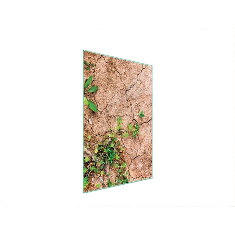 Glasschneidebrett 35x52 Pflanzen (1/5)