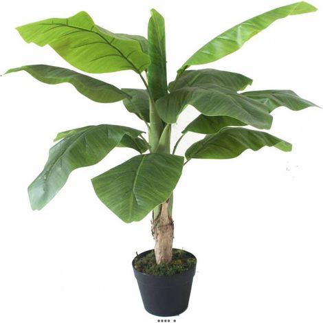 Bananier artificiel en pot Tronc naturel H 100 cm Vert - dimhaut: H 100 cm - couleur: Vert