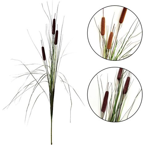Gräserstrauß - Rohrkolbengras 125 cm, dunkelbraun (1/5)