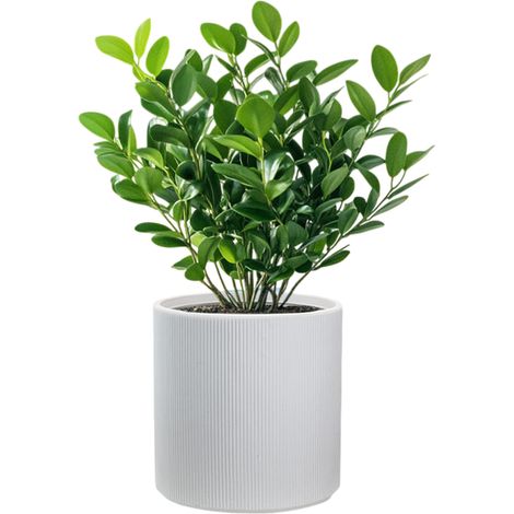 Vase Cylindrique Rond En Résine Pour Plantes D'Intérieur Et D'Extérieur, 36X35 Cm, Modèle Modigliani Blanc (1/5)
