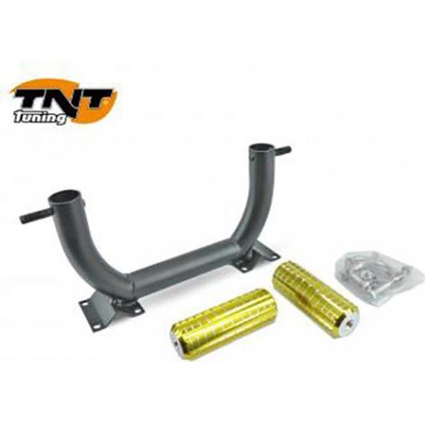 Platine repose pied TNT pour Scooter Peugeot 50 Ludix Neuf