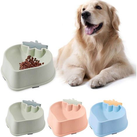 Gamelles pour chiens en plastique antidérapant, station d'alimentation sécurisée pour l'eau et la nourriture (1/4)