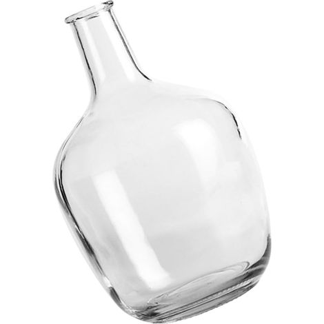 Vase en Verre Transparent Moyen, Vase Hydroponique à Fleurs, Contenant pour Arrangements Floraux, Support Décoratif pour Plantes Vertes, pour Bureau et Balcon (1/5)