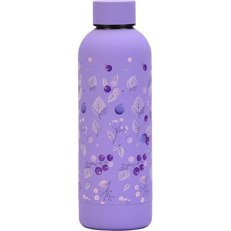 Thermos En Acier Inoxydable - Bouteille Isolée Double Paroi 500 Ml - Pour Extérieur Et Sport - 1 Pièce (1/5)