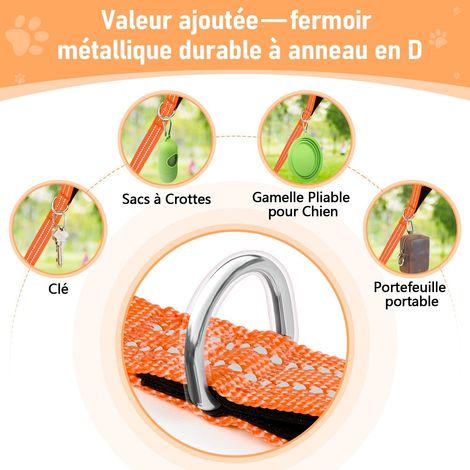 Longe pour Chien Robuste et Réfléchissante, Laisse d'Entraînement pour Activités en Plein Air, Poignée Confortable en SBR (1/5)