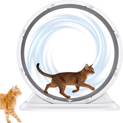 Roue d'exercice pour chat, rouleau silencieux, facile à nettoyer, Blanc(pf)