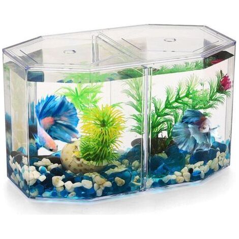 Aquarium de Bureau de Miniature: Petit Aquarium Betta avec Cloison Amovible pour Betta, Poisson Rouge - pour Enfants Débutants (1/5)