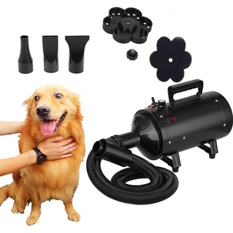 2800W Variable Speed Pet Grooming Hair Dryer High Velocity Dog Cat Hairdryer, Motorcycle Power Dryer, Portable Car Dryer, Bike Dryer Blower,Vehicle Dryer, Two in One,Convenient for use (1/5)