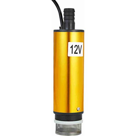 Pompe immergée DC 12V 51 mm pour pompage eau huile gasoil transfert carburant ravitaillement avec filtre (1/5)