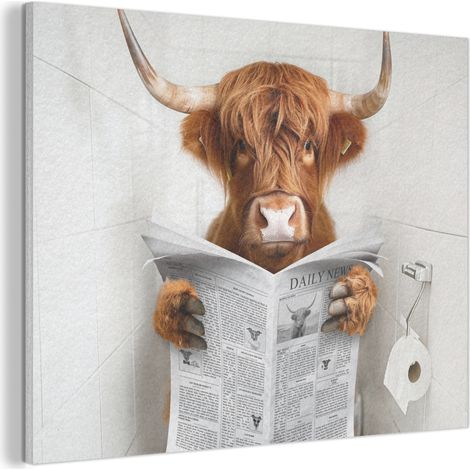 CUADRO ACÚSTICO Highlander escocés - Animal - Periódico - Inodoro Adornos Pared 80x60 (1/5)