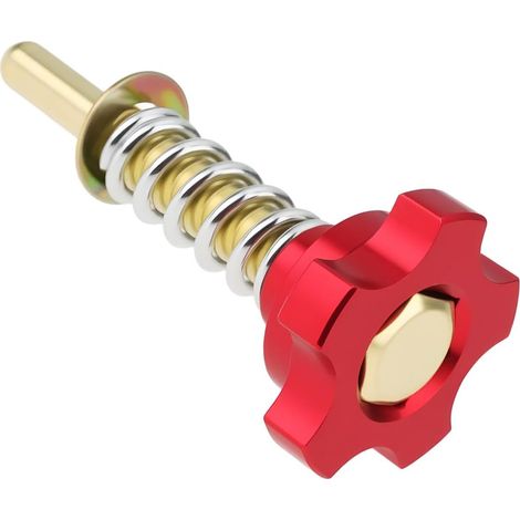 Vis de Réglage du Ralenti (mélange Air/Essence) Rouge pour Carburateur de Moto Compatible avec Keihin PWK (1/5)