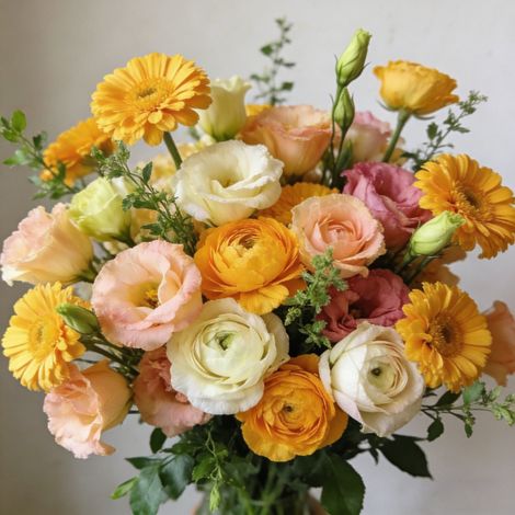 Graines Ornementales – Calendula Lisianthus – 1000 pcs (1/5)