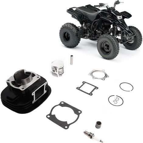 Kolbenring- und Dichtungssatz für Yamaha Blaster 200 YFS200 Zylinderkopf (Übergewicht) (1/5)
