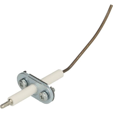 Électrode d'ionisation