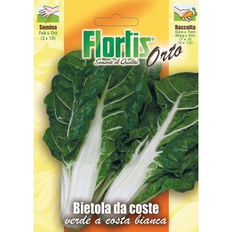BIETOLA DA COSTE BIANCHE
