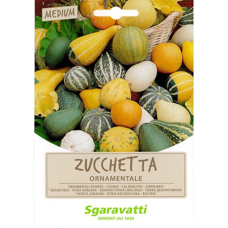 SEMI PER PRATO UNIVERSALE zucchette ornamentali Q.TA 20 zucchette ornamentali