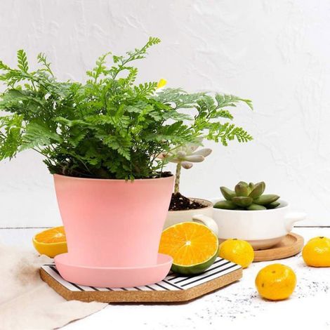 Lot de 8 pots de fleurs colorés en plastique de 14 cm pour plantes d'intérieur, pour bureau, maison, avec palette (1/5)