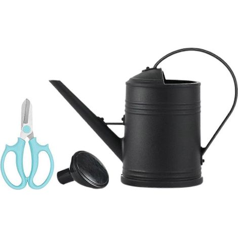 2-Liter-Gießkanne mit abnehmbarer Düse – robustes Gartengerät zum Bewässern von Pflanzen und Blumen.-black (1/5)