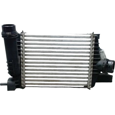 Echangeur Air RENAULT Clio Iv 2012- [PRODUIT D'OCCASION]♻️144961381r (1/4)