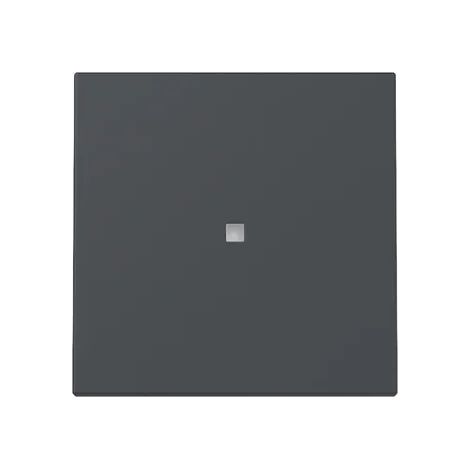 Gira Tasto bilanciere controllo System 55 Antracite [329028], 3290 28