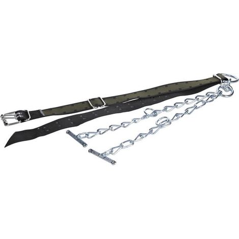 Collar de toros 170x7 cm cpl. UNIVERSAL 803062KR (1/2)