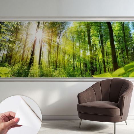 Papier peint adhésif autocollant pour salon chambre à coucher peint imprimé Installation facile Lumière de la forêt 250x104 cm (1/5)