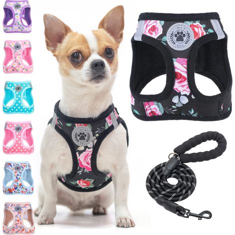 Step in Harnais et Laisse pour Chien et Chat - Motif Floral - Réfléchissant - Pas de Traction ou d'étouffement - pour Chiens et Chats - Harnais en Maille rembourrée Douce pour Chiens (1/5)