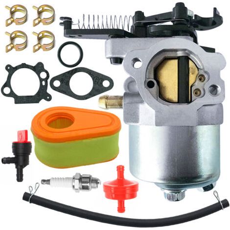 793493 792038 Carburateur 591852 793463 100602 100802 carburetor- (1/4)