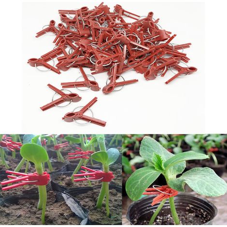 Lot de 100 clips de greffage en plastique pour plantes, pratiques et résistants pour jardinage