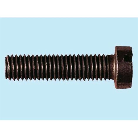 VITI P/METALLO ZN CROCE T.C. 7985 6X30