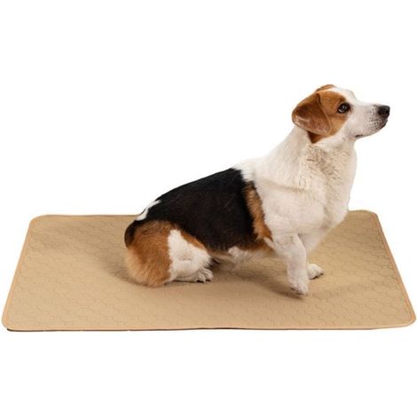 Lot de 1 tapis absorbants lavables pour chiots, réutilisables, ultra-absorbants, imperméables, à séchage rapide et antidérapants. (1/5)
