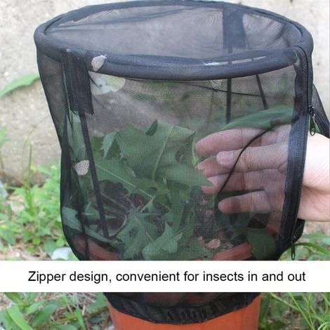 Élevoir d'Insectes Ventilé Cage Protection Mesh Cage Lumière Transmission Poteaux Cage