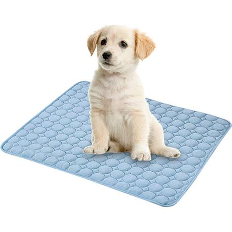 Cool Pad Dog Pad Cool Pad Chien Cold Pad Chat Couverture Panier Froid Chien Pad Convient pour Chiens et Chats Été Multifonctionnel Matériel (Bleu Clair, 4030cm) (1/5)