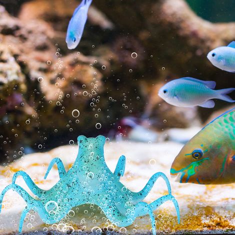 Pieuvre artificielle fluorescente en silicone pour aquarium (bleue) (1/5)