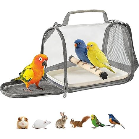 Cage Perroquet avec Perchoir et Plateau, Portable Cage Oiseaux Interieur, Perchoir Perroquet Cages a Oiseaux, Cages Perruche pour Oiseauxe Petits Animaux (1/3)