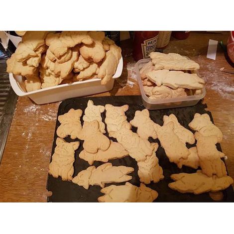 3er-Set lustige Corgi-Ausstechformen aus Kunststoff, Hundeform, Backwerkzeug für Kinder, DIY-Bastelset (1/5)