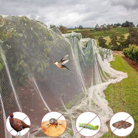 Filets pour Jardin,3 m x 5m Filet Anti Insecte,Filet Protection Insectes Potager,Filet de Protection Anti-Insectes (1/4)