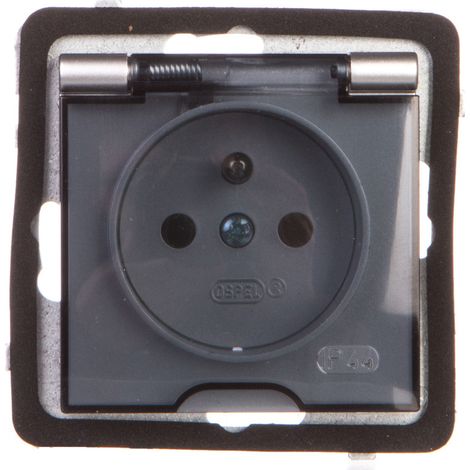 Presa AS resistente agli spruzzi con/con copertura trasparente IP44 argento GPH-1GZ/m/18/d