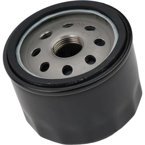 120-738 21545100 063-1050-00 109-3321 5101026X1 600976 Oil Filter (1/3)
