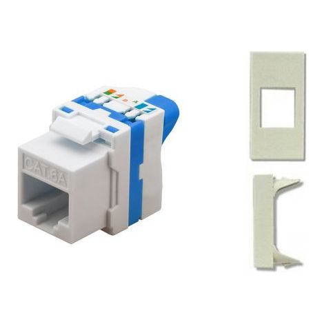 TechLy presa di rete RJ45 UTP CAT.6a tooless + Legrand Vela bianca