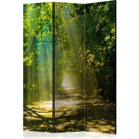 Paravento - Road in Sunlight [Room Dividers] - 135x172 (1/4)