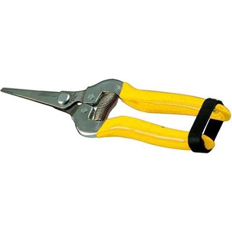 Forbici Cogliuva Vigor Lame Diritte Inox Mm. 185