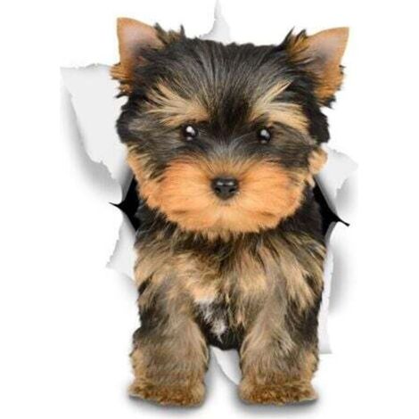 Adesivi murali 3D per cani - Adesivi decorativi divertenti - Adesivi con cane Yorkshire Terrier per pareti, frigoriferi, bagni, soggiorni e auto, 8 x 12 cm.
