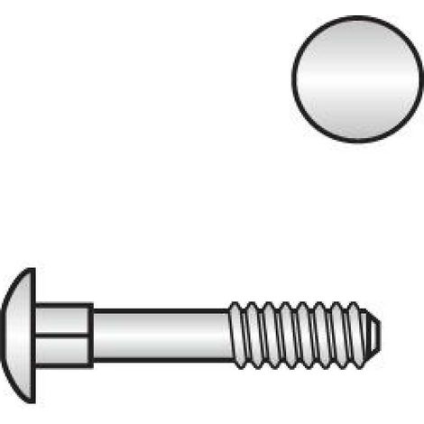Reidl DIN 603 Flachrundschr. Vierkantansatz M 6 x 70 Messing blank, ohne Mutter (1/2)