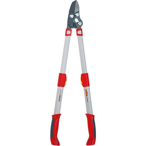 TRONCARAMI TELESCOPICO WOLF GARTEN POWER CUT RS 900 T