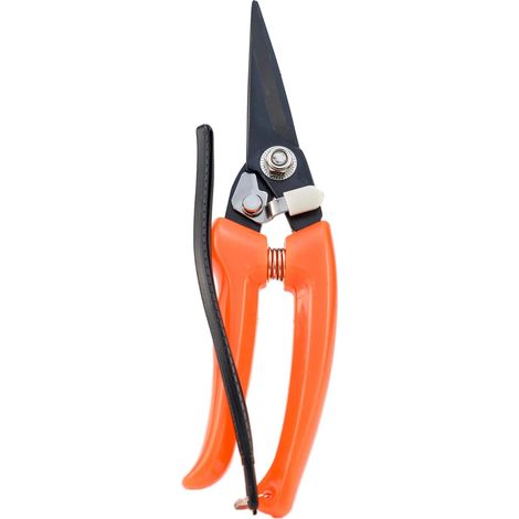 Pied Pourriture Cisailles Mouton Cheval Sabot Coupe Ciseaux Pied Rot Multi Usage en Acier Carbone Cisailles Jardin Sécateur 21 cm de long (1/5)