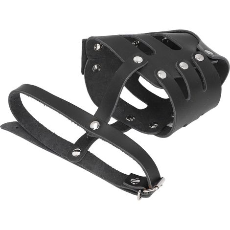 Muselière de Dressage pour Animaux de Compagnie, Muselière Réglable Renforcée et Respirante pour Chien, Empêche la Mastication des Morsures, pour Toutes Les Races (1/5)