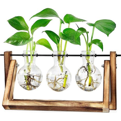 Terrarium En Verre Et Support En Bois Pour Plantes Hydroponiques Décoration Intérieure Bureau Jardinage Créatif Lot De 1 (1/5)