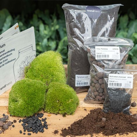 Kit DIY Terrarium de Plantes Recharge Complète avec Mousse et Terreau Taille L/XL 20-30 cm - PANGIVO (1/3)